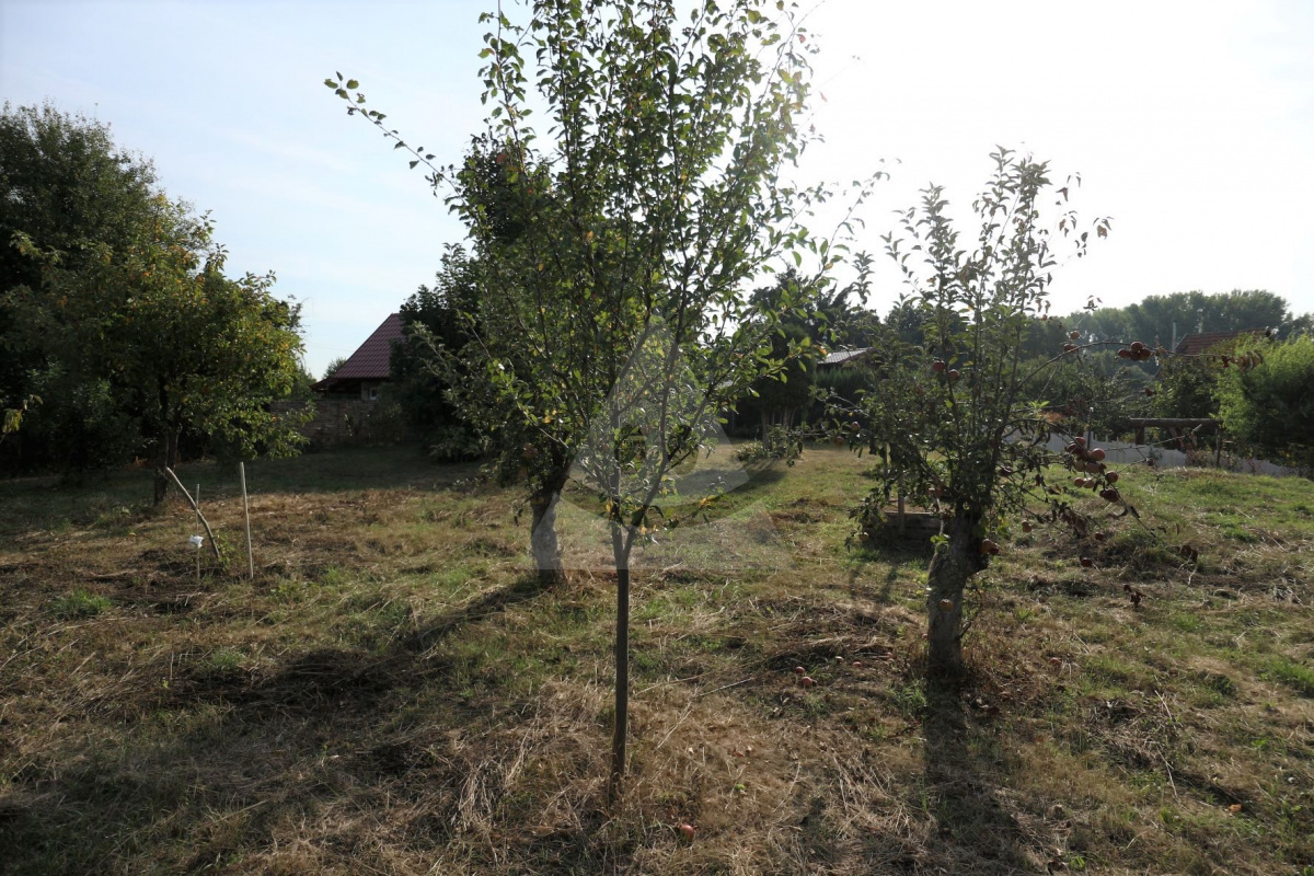 Sunny land for sale in the recreational area (investment land), Nové Zámky