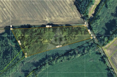 FOR SALE investment land in the village Rastislavice, Nové Zámky