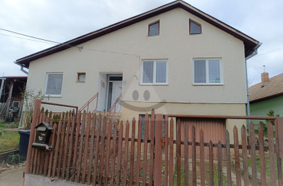 Two-generation 5-room family house in the village of Svodín